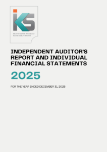 Independent Auditors Report
